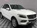 2015 Mercedes-Benz ML 250 Bluetec