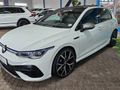 2024 Volkswagen Golf 8 2.0 TSI R DSG