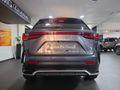2024 Lexus NX 350h F-Sport