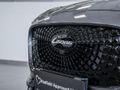 2026 Lepas L4 1.5 Amur
