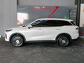 2026 Chery Tiggo 9 2.0T Vanguard AWD