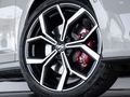 2026 Volkswagen Polo 2.0 GTI Auto (147kW)
