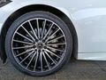 2026 Mercedes-Benz C-Class C220d AMG Auto (W206)