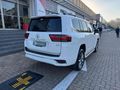 2023 Toyota Land Cruiser 300 V6 3.3 D ZX