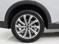 2026 Chery Tiggo 9 2.0T Pinnacle