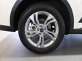 2026 Ford Territory 1.8T Ambiente