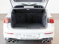 2023 Volkswagen Golf 8 2.0 TSI R DSG
