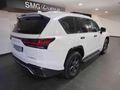 2025 Lexus LX 500d Overtrail