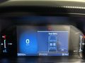 2023 Ford Ranger 2.0D XL Double Cab Auto