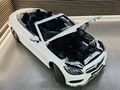 2017 Mercedes-Benz C-Class C 300 Cabrio Auto