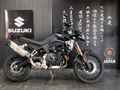 2024 BMW F 900 GS