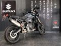 2024 BMW F 900 GS