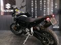 2024 BMW F 900 GS