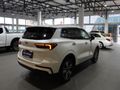 2026 Ford Territory Titanium 1.8L Ecoboost Auto