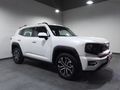 2025 Haval H7 2.0T Super Luxury 4x4 DCT