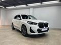 2024 BMW X1 xDrive30e M Sport
