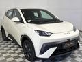 2026 BYD Dolphin Surf Comfort