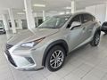 2021 Lexus NX 300 EX