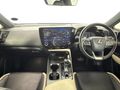 2023 Lexus NX 250 EX