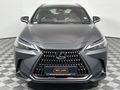 2023 Lexus NX 250 EX