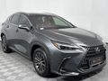 2023 Lexus NX 250 EX