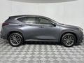 2023 Lexus NX 250 EX