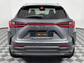 2023 Lexus NX 250 EX