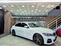 2019 BMW 3 Series 320d