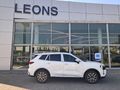 2026 Ford Territory Trend 1.8L Ecoboost Auto
