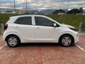 2023 Kia Picanto 1.0 Street