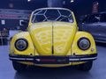 1977 Volkswagen Beetle 1600