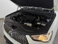 2022 GWM P-Series CV 2.0 TD DLX Single-Cab