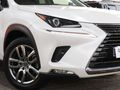 2021 Lexus NX 300 EX