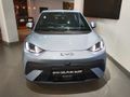 2026 BYD Dolphin Surf Dynamic