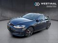 2019 Volkswagen Golf VII GTI 2.0 TSI Auto