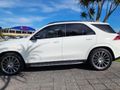 2023 Mercedes-Benz GLE 300d 4Matic