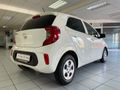 2024 Kia Picanto 1.0 Runner Panel Van