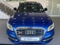 2016 Audi SQ5 3.0 BiTDI quattro Auto