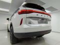 2024 Haval H6 1.5T Hybrid Ultra Luxury DHT