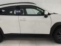 2025 Toyota Starlet Cross 1.5XS Auto