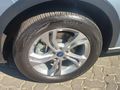 2025 Ford Territory 1.8T Trend