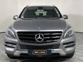 2015 Mercedes-Benz ML 250 Bluetec