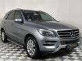 2015 Mercedes-Benz ML 250 Bluetec