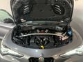 2026 Alfa Romeo Stelvio 2.9T V6 Quadrifoglio