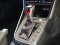 2026 Volkswagen Polo 2.0 GTI Auto (147kW)