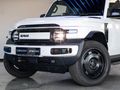 2026 iCAUR V23 Auto