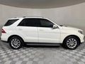 2013 Mercedes-Benz ML 350 Bluetec