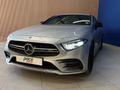 2019 Mercedes-AMG CLS 53 AMG 4Matic