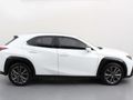 2023 Lexus UX 250h F-Sport