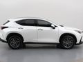 2025 Lexus NX 250 EX